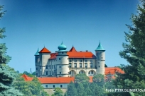 Zamek w Wiśniczu