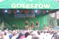 Występy artystyczne