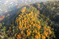 foto:Grzegorz Fedrizzi