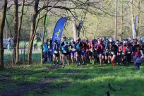 Salamandra Ultra Trail 2023