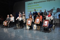 Ladies D Województwa Śląskiego