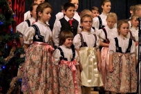 ZPiT "Goleszów"