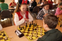 Zawodnicy
