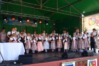 Występ DMZPiT Goleszów
