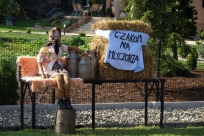 Dekoracja dożynkowa na ul. Wolności w Goleszowie