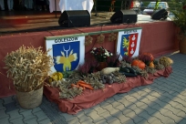 Przed sceną, wystrój dożynkowy