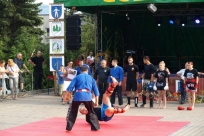 Pokaz sztuk walki