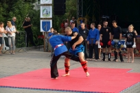 Pokaz sztuk walki