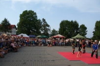 Pokaz sztuk walki