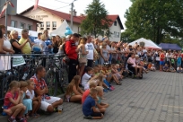 Publiczność pokazu sztuk walki