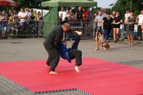 Pokaz sztuk walki