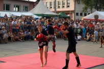 Pokaz sztuk walki