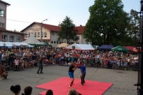 Pokaz sztuk walki