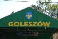 Występy artystyczne