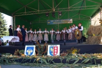 Występy artystyczne
