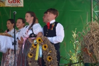 Występy artystyczne