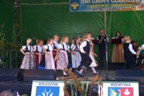 Występy artystyczne
