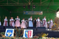 Występy artystyczne