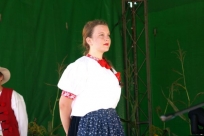 Występy artystyczne