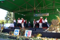 Występy artystyczne
