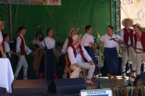 Występy artystyczne