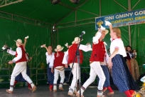 Występy artystyczne