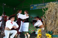 Występy artystyczne
