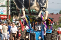 Korowód dożynkowy 2015