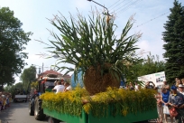 Korowód dożynkowy 2015