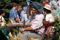 Korowód dożynkowy 2015