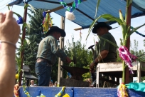 Korowód dożynkowy 2015