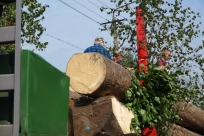 Korowód dożynkowy 2015