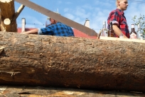 Korowód dożynkowy 2015