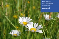 Okładka, lipiec - sierpień 2022