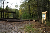 Tablica 6, Dzięgielów zadaszenie
