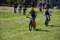 X-Cross Bike 2019