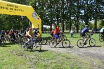 X-Cross Bike 2019