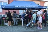 Plaża Goleszów