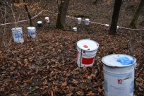 Pojemniki w Cisownicy, fot. T. Lenkiewicz