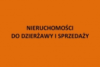 Baner