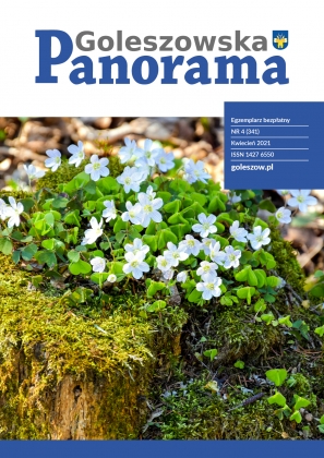 Okładka , Panorama Goleszowska, kwiecień 2021 r.