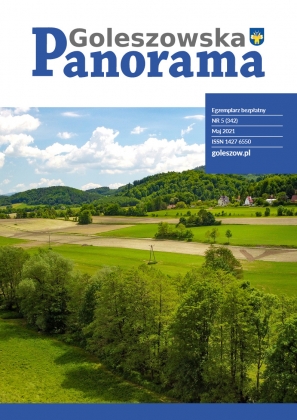 Okładka, Panorama Goleszowska, maj 2021