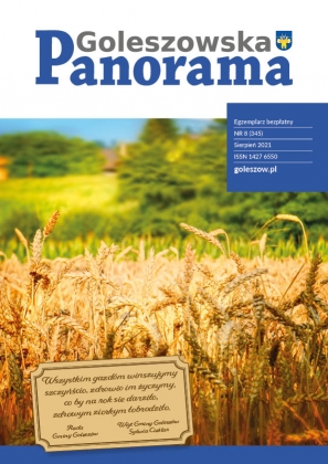 Okładka, Panorama goleszowska, sierpień 2021