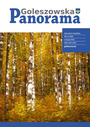 Okładka, Panorama Goleszowska, listopad 2021