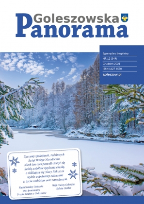 Okładka, Panorama Goleszowska, grudzień 2021