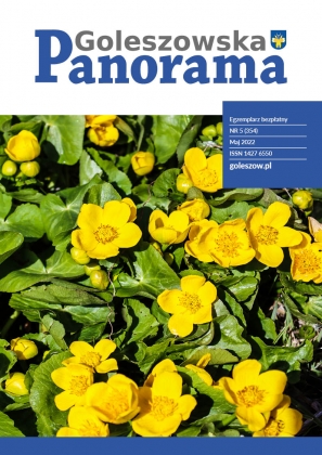 Panorama Goleszowska, Maj 2022, okładka