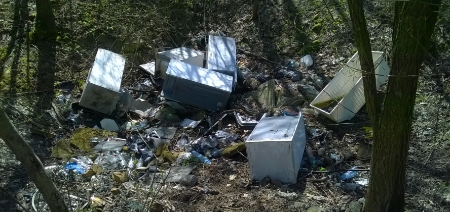 Odpady wielkogabarytowe (lodówki) wyrzucone w lesie