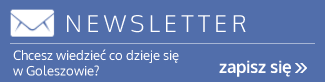 Zapisz się do newslettera email